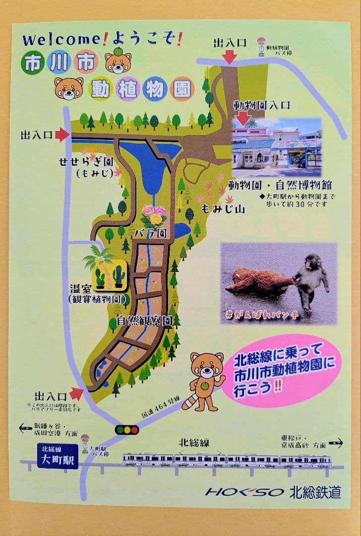 【新品・未使用】ニホンザル ぬいぐるみ くじ4等 2体セット 市川市動植物園 — image 4