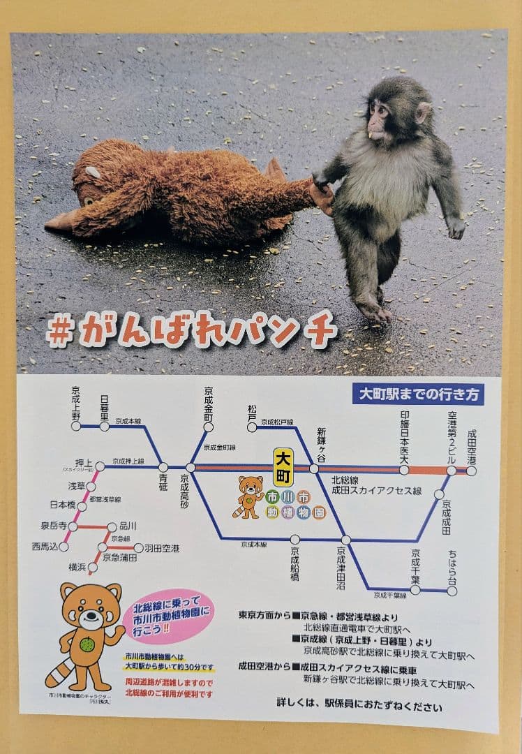 【新品・未使用】ニホンザル ぬいぐるみ くじ4等 2体セット 市川市動植物園 — image 5