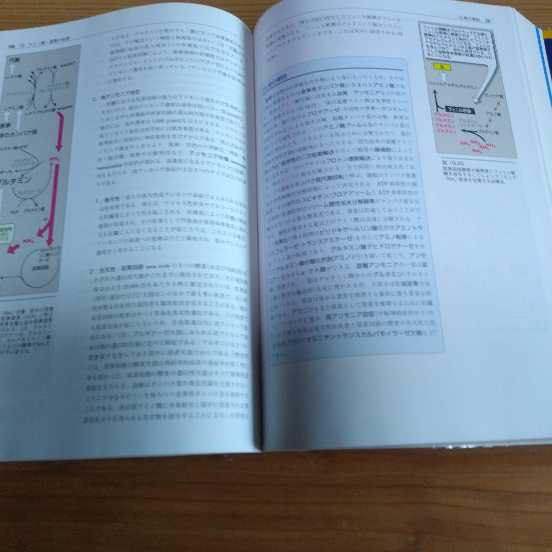 イラストレイテッド生化学 — image 4