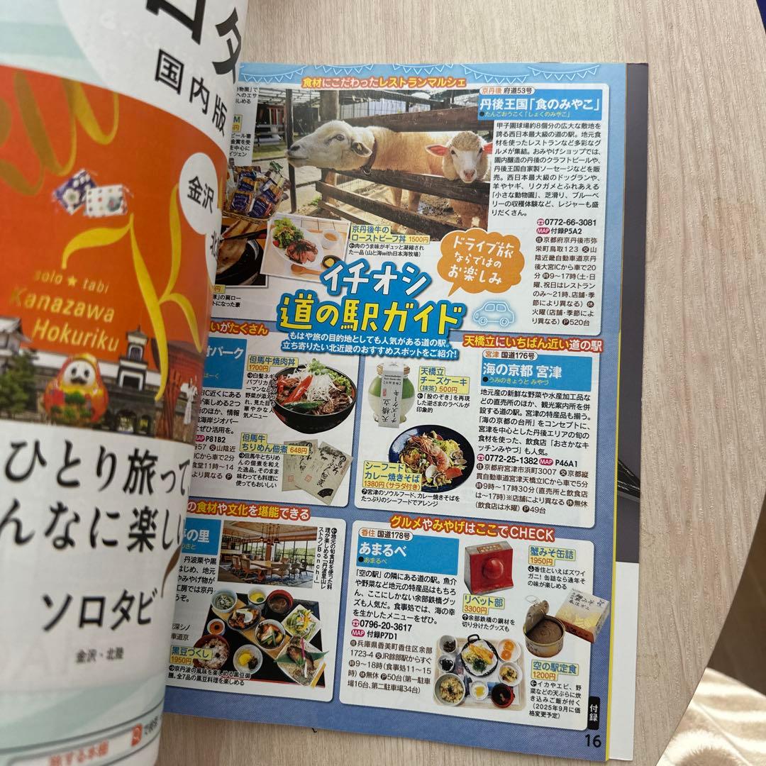 大橋立城山 旅行ガイド 2026年版 — image 3