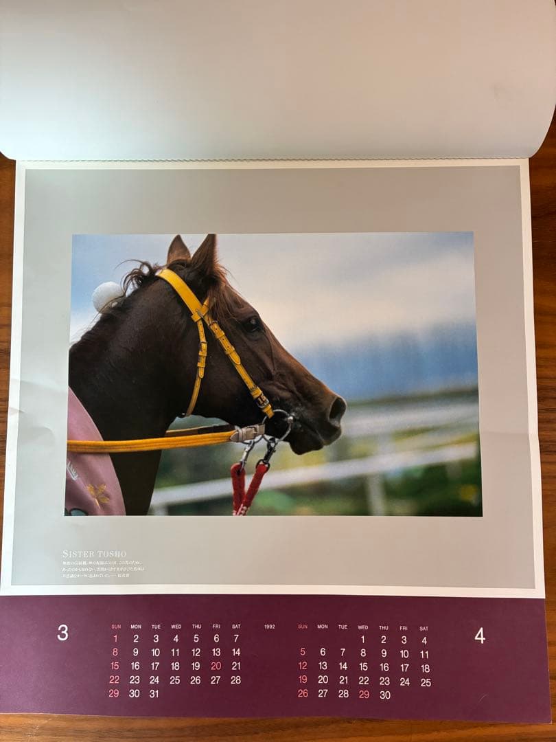 1992年 競馬 カレンダー 競走馬 写真 — image 3