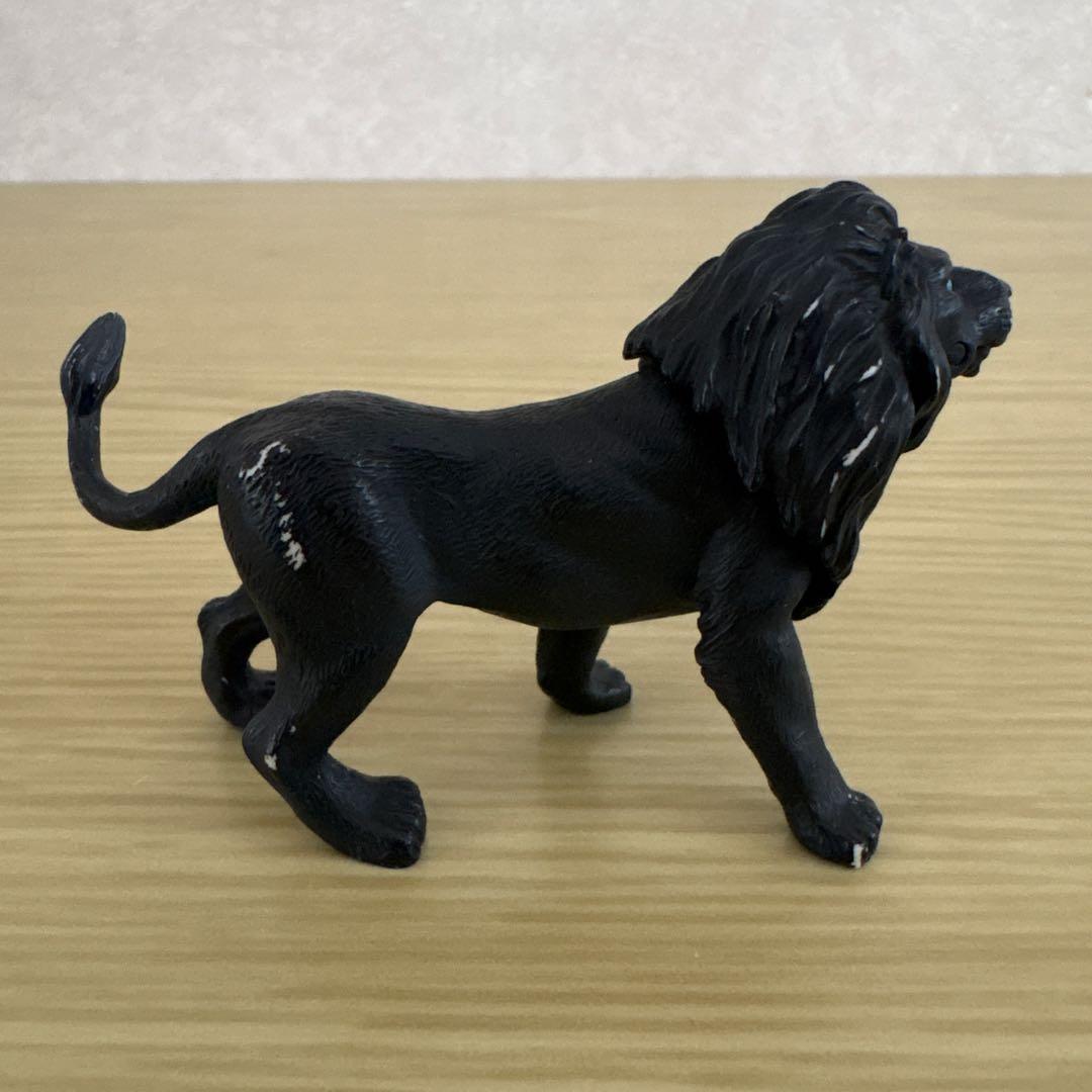 アニア　ブラックライオン — image 3