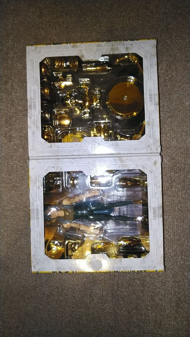 聖闘士聖衣神話 アクエリアス カミュ — image 5