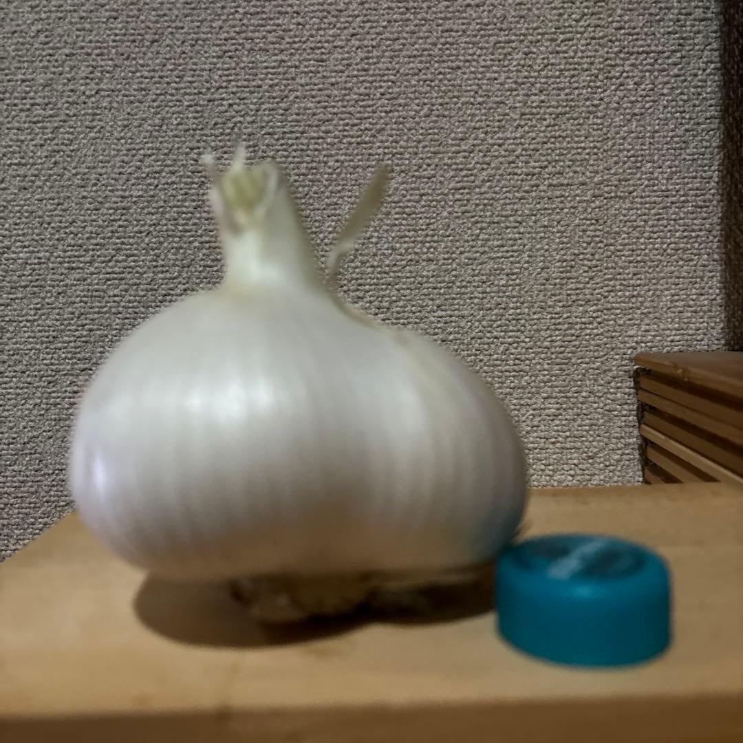 ジャンボニンニク① 農薬不使用 ゆうパケットプラス — image 3