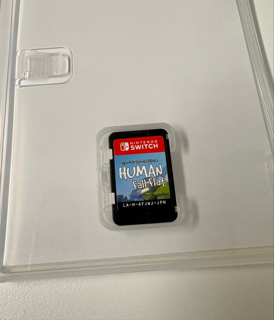 ヒューマン フォール フラット — image 2