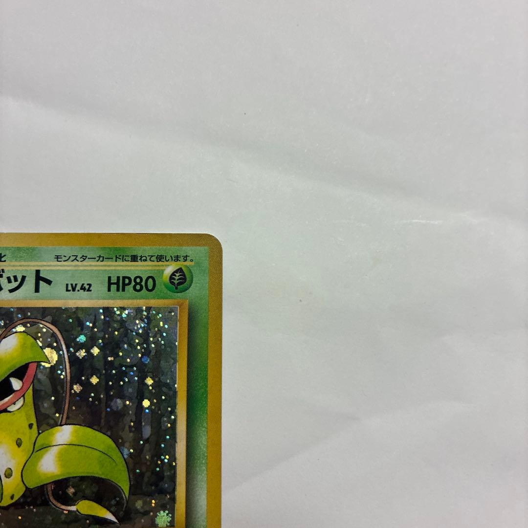 ウツボット ポケモンカード　旧　pokemoncard holo — image 4