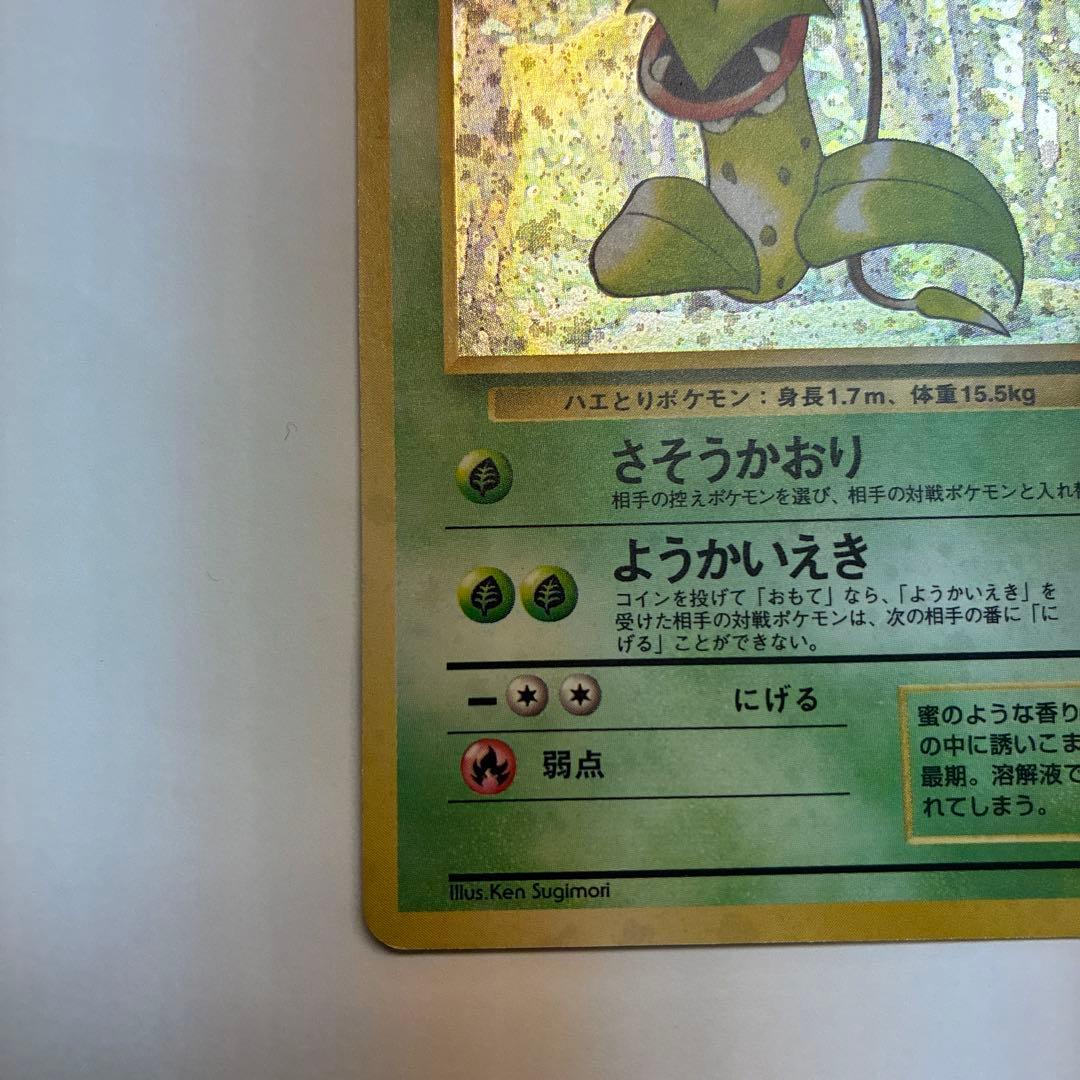 ウツボット ポケモンカード　旧　pokemoncard holo — image 5