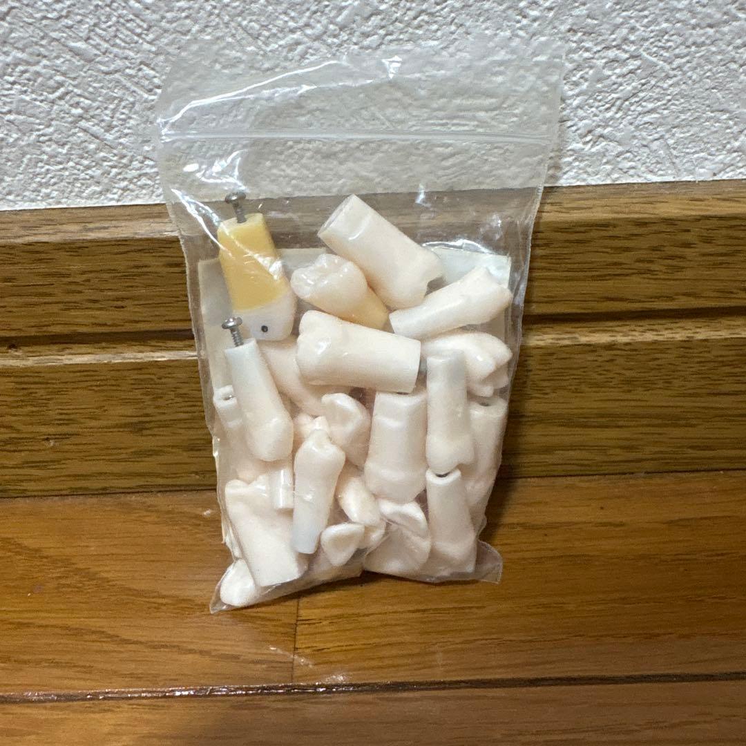 練習用歯牙模型 — image 2