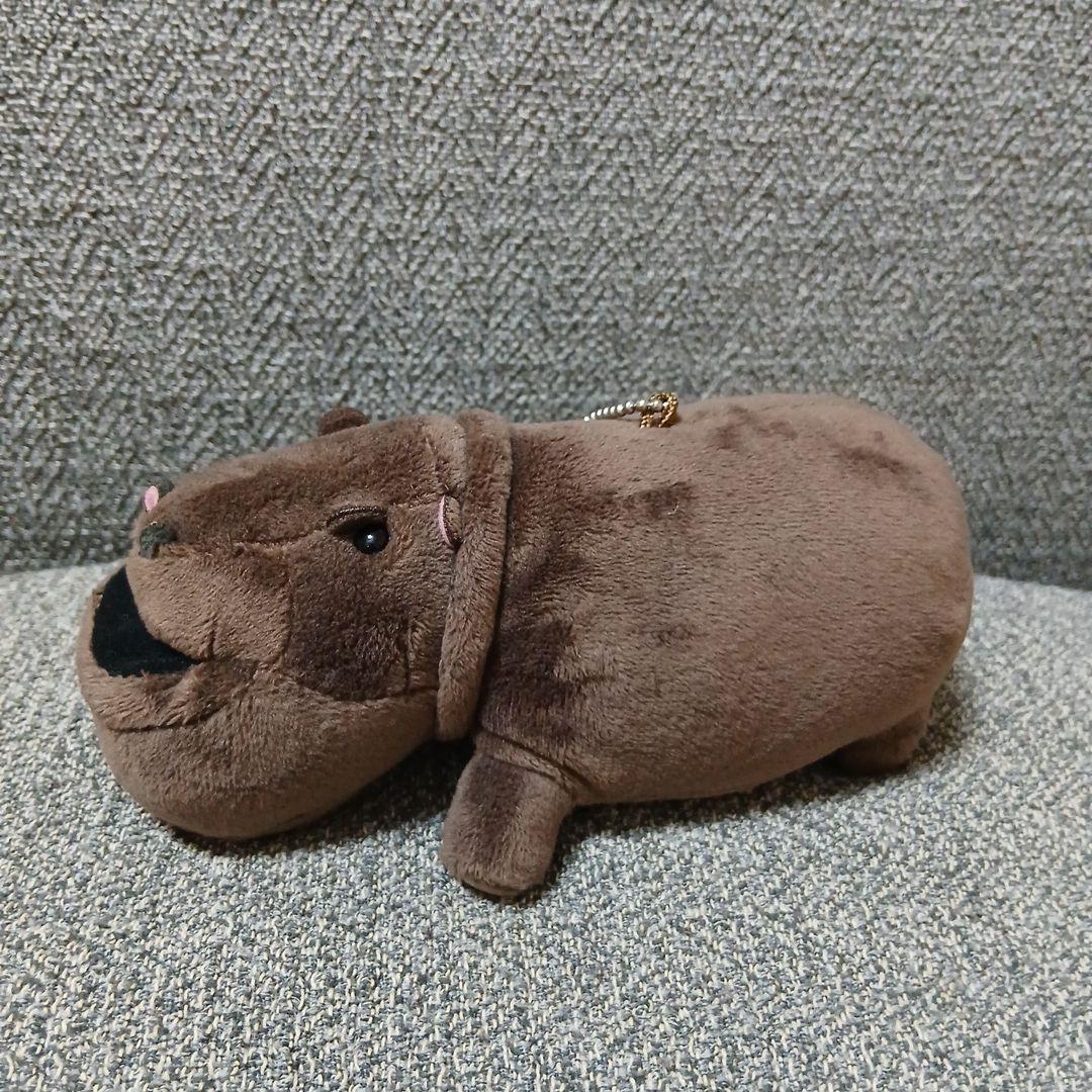 ③　シャクレルプラネット　シャクレルカバ　ぬいぐるみ　マスコット　新品未使用 — image 4