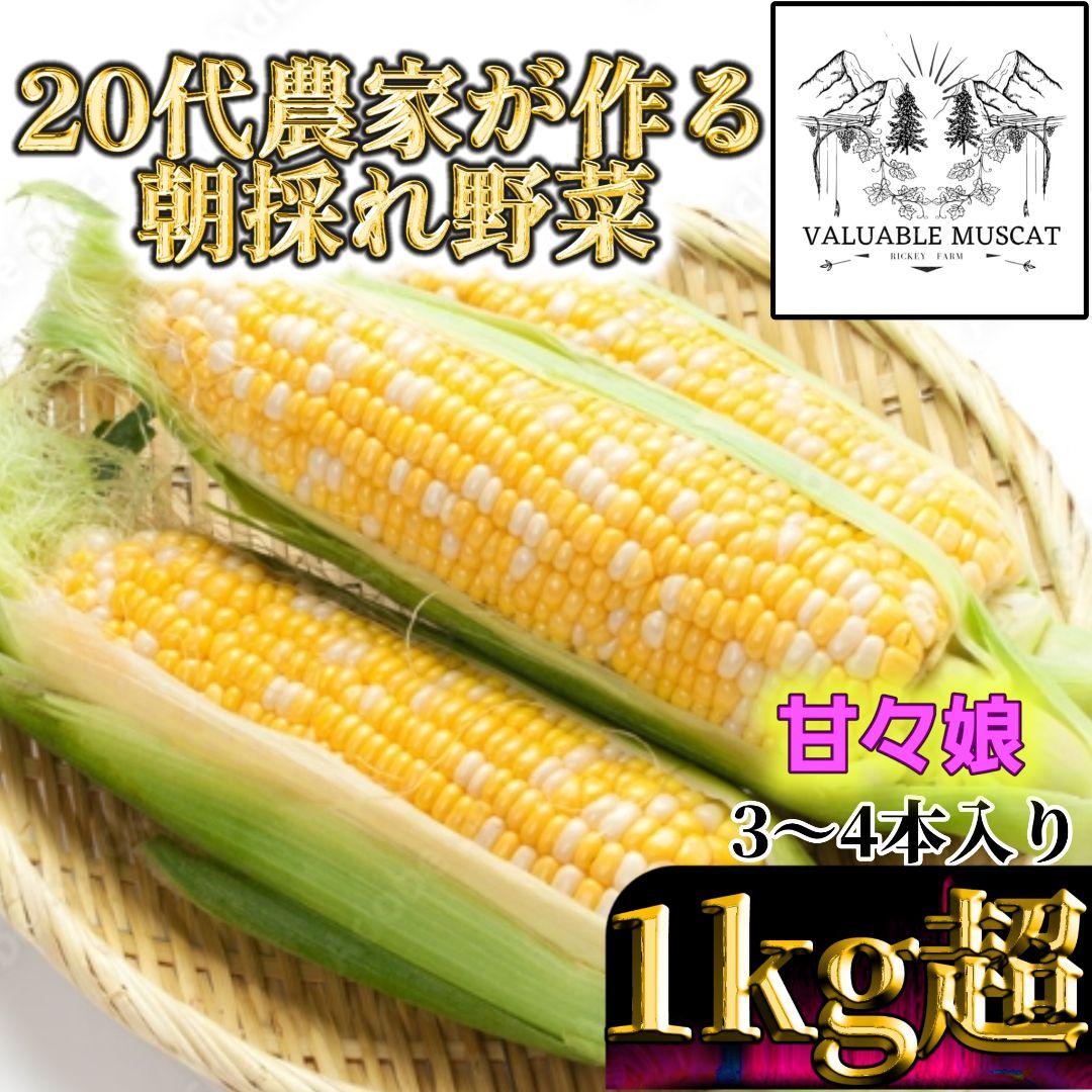 ●あいちゃん 様　専用 — image 2