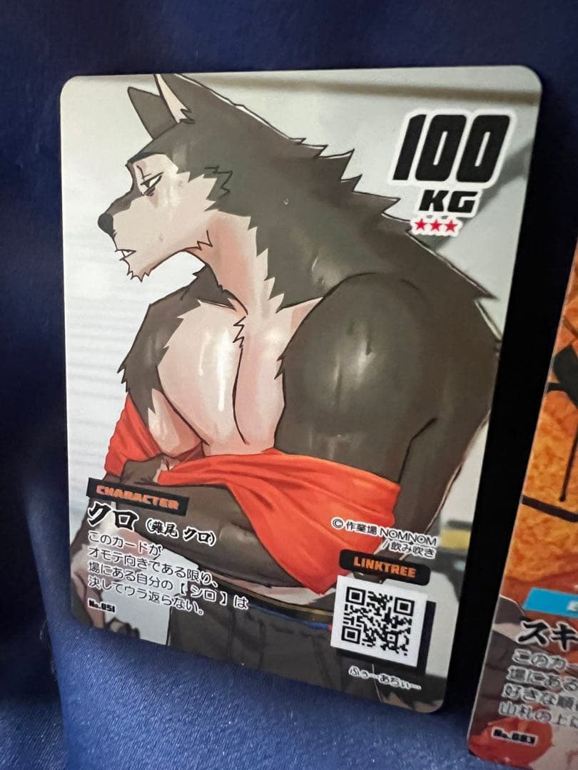 スキー旅行　クロ　シロ　3枚セット　トレーディングカード　GRM　グラム　トレカ — image 4