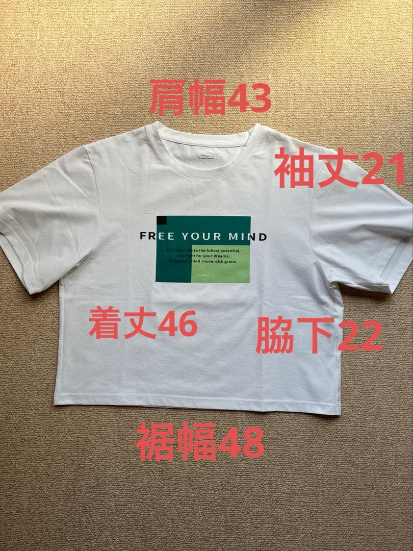 レディース半袖Tシャツ　S スポーツウェア　TIGORA ヨガ　ピラティス — image 3