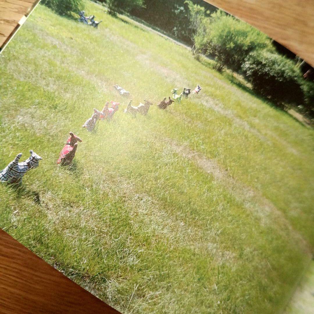 【写真集】Dogs...anywhere / KIYOHIDE HORI — image 4