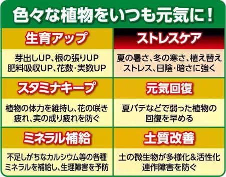 ①Xエナジーロング 粒タイプ 小分け　40g　バイオスティミュラント — image 3