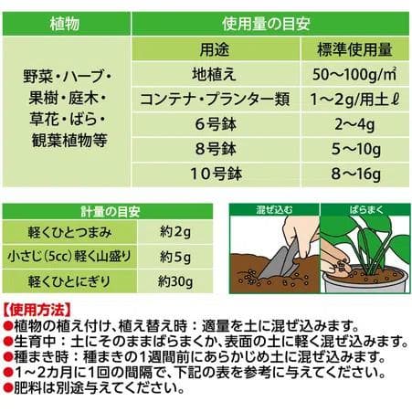 ①Xエナジーロング 粒タイプ 小分け　40g　バイオスティミュラント — image 4