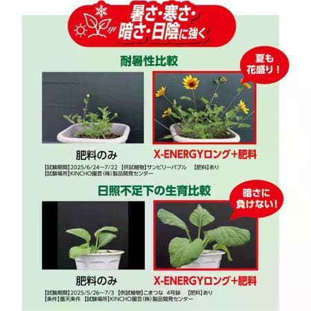 ①Xエナジーロング 粒タイプ 小分け　40g　バイオスティミュラント — image 5