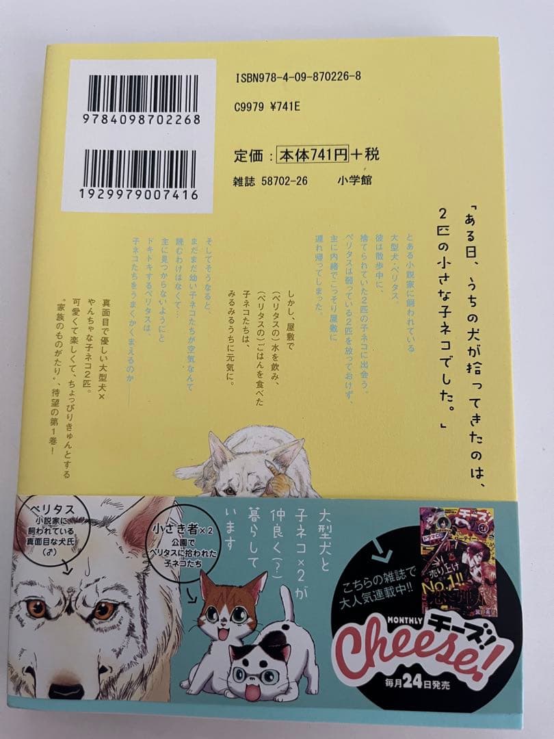 うちの犬が子ネコ拾いました。① 竜山さゆり 猫漫画 コミック — image 2