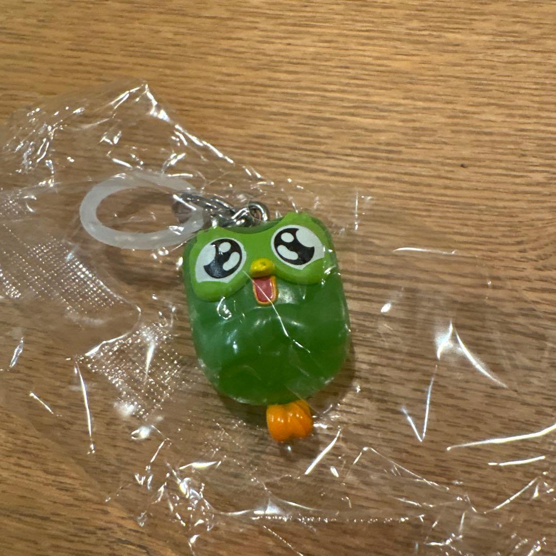 Duolingo Duo めじるしアクセサリー — image 2