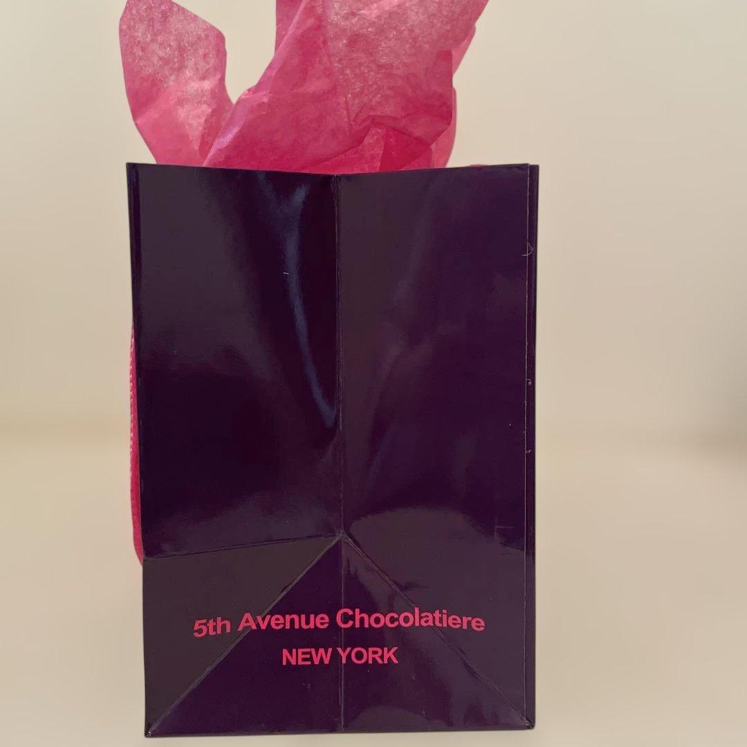 5th AVENUE ニューヨーク　ショップ袋 — image 2