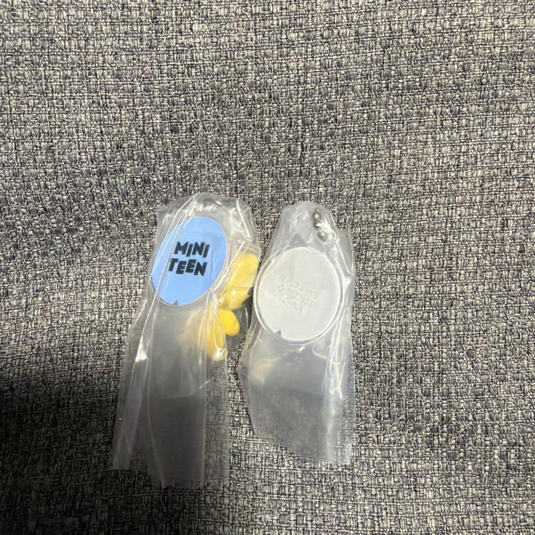 MINITEEN つまんでつなげてますこっとでらっくす！2種セット　ホシ　ウジ — image 2