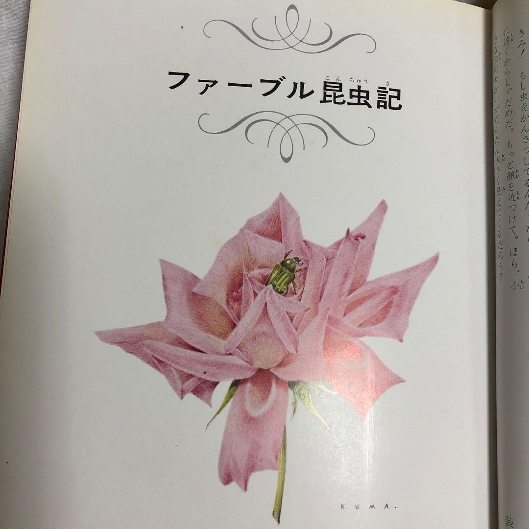 ファーブル昆虫記 世界の名作 21 熊田千佳慕　絵 — image 3