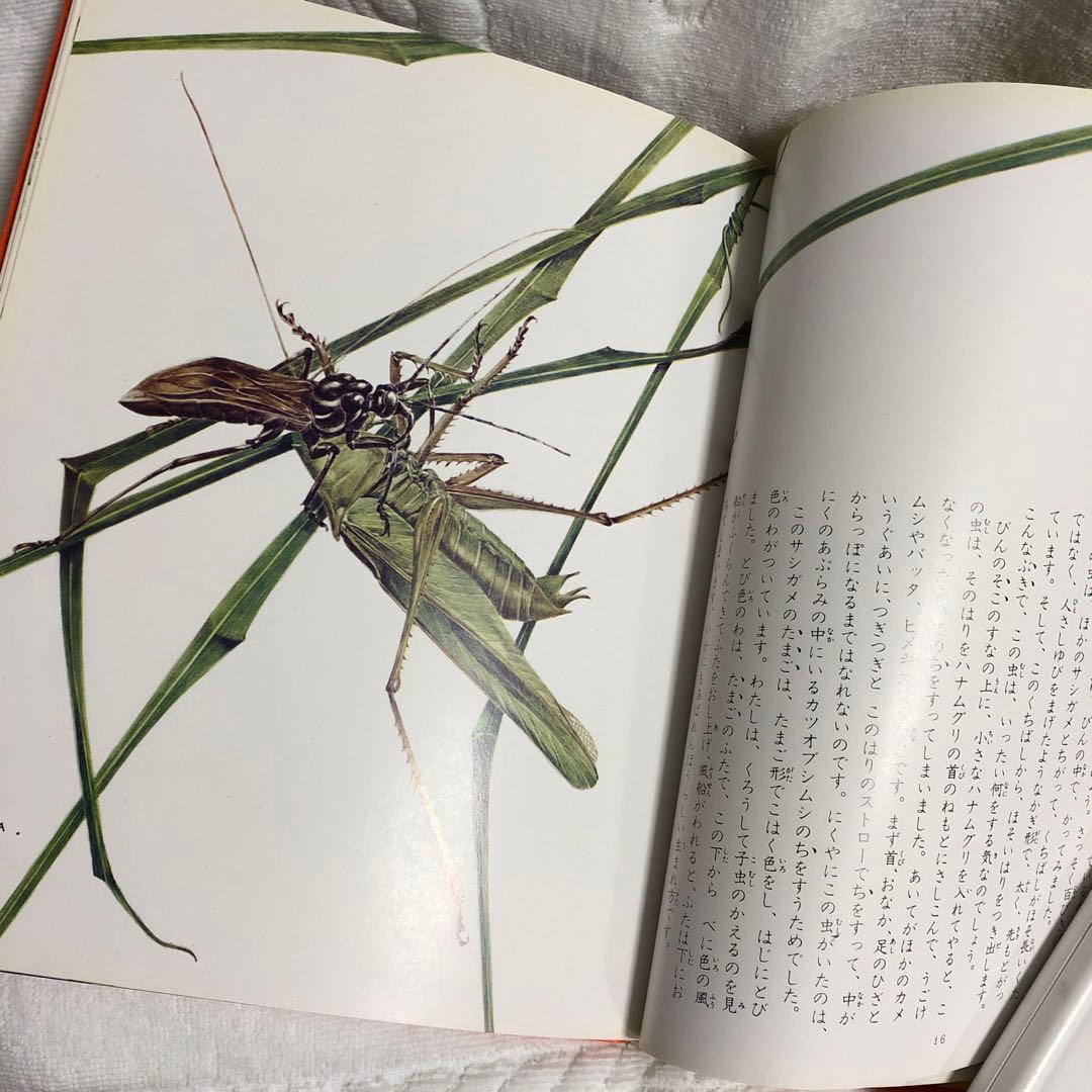ファーブル昆虫記 世界の名作 21 熊田千佳慕　絵 — image 4