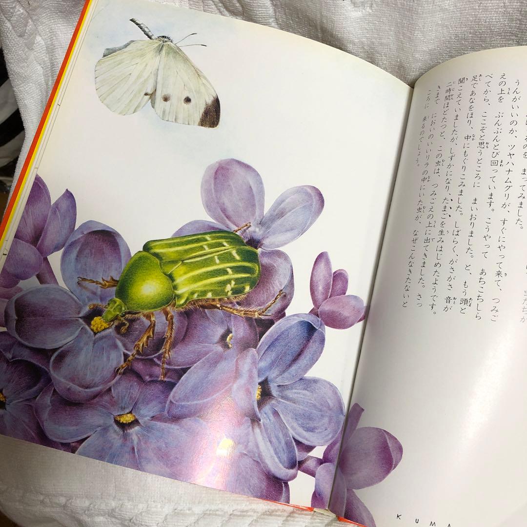 ファーブル昆虫記 世界の名作 21 熊田千佳慕　絵 — image 5