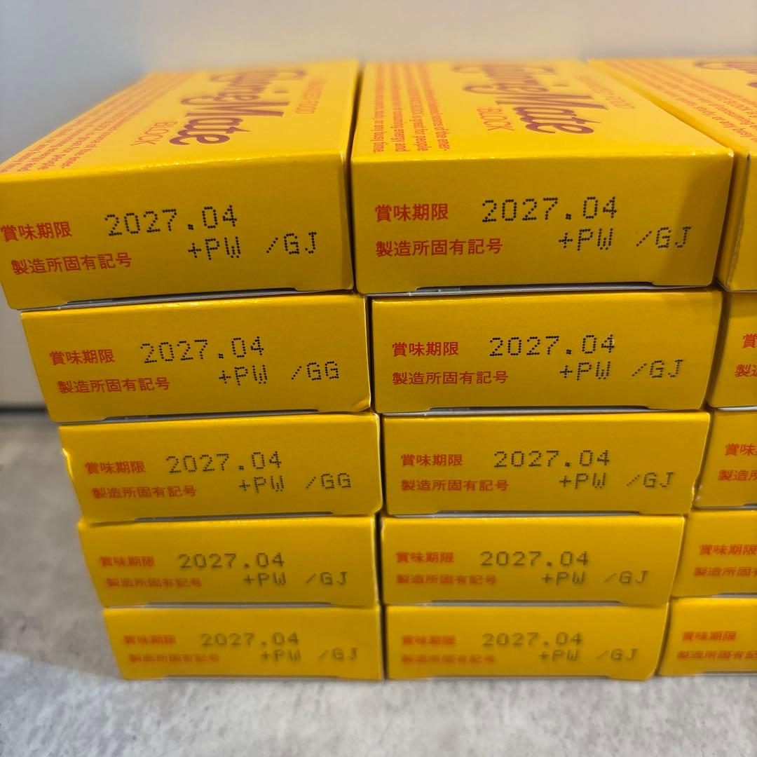 Calorie Mate Block チョコ味　2個入り30箱セット — image 2