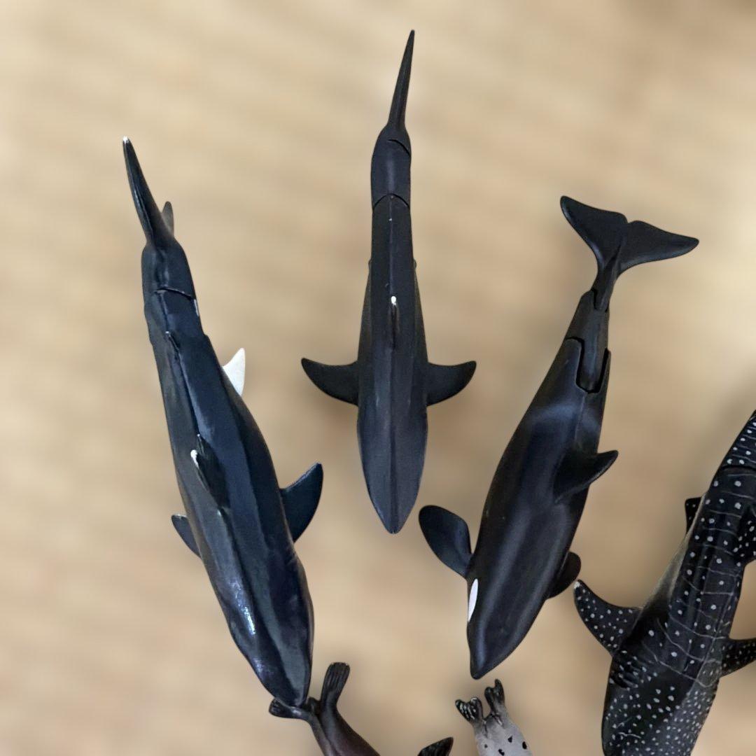 アニア　海の生き物セット — image 2