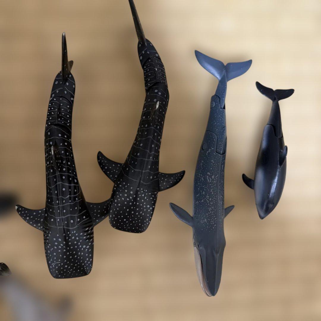アニア　海の生き物セット — image 3