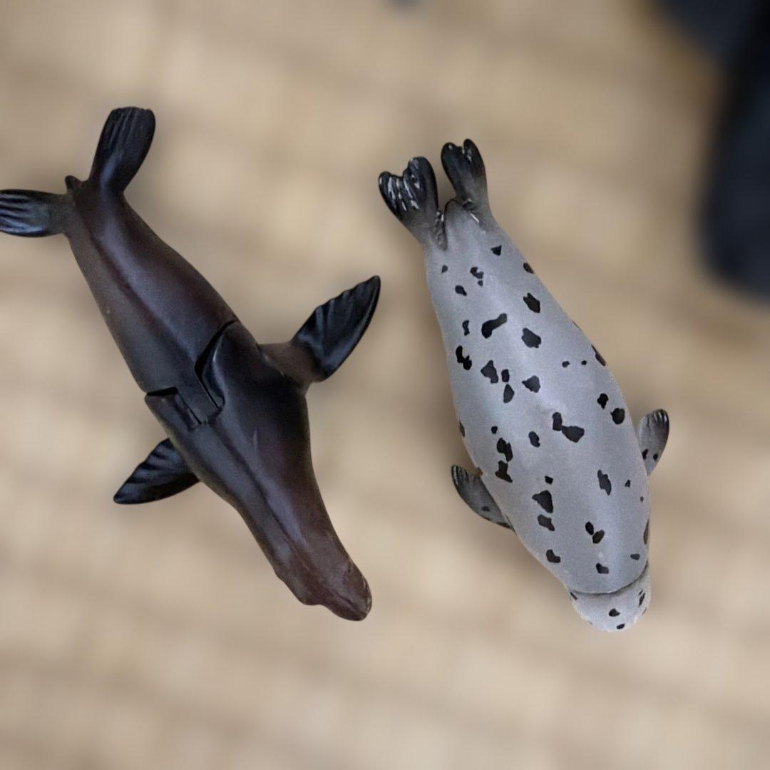 アニア　海の生き物セット — image 4