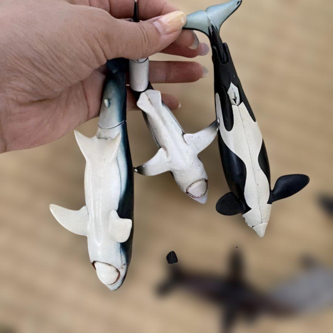 アニア　海の生き物セット — image 5