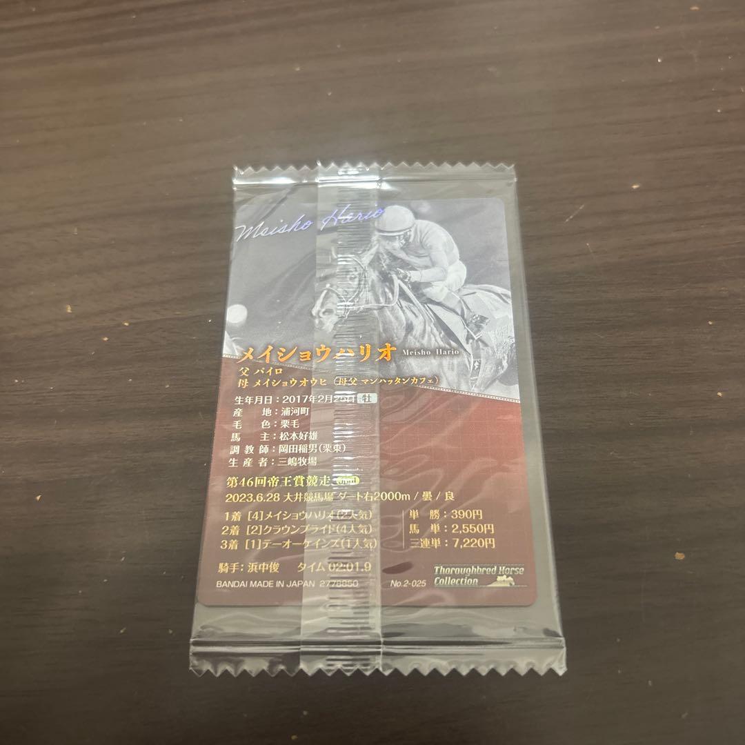 メイショウハリオ 第46回帝王賞 競馬カード — image 2