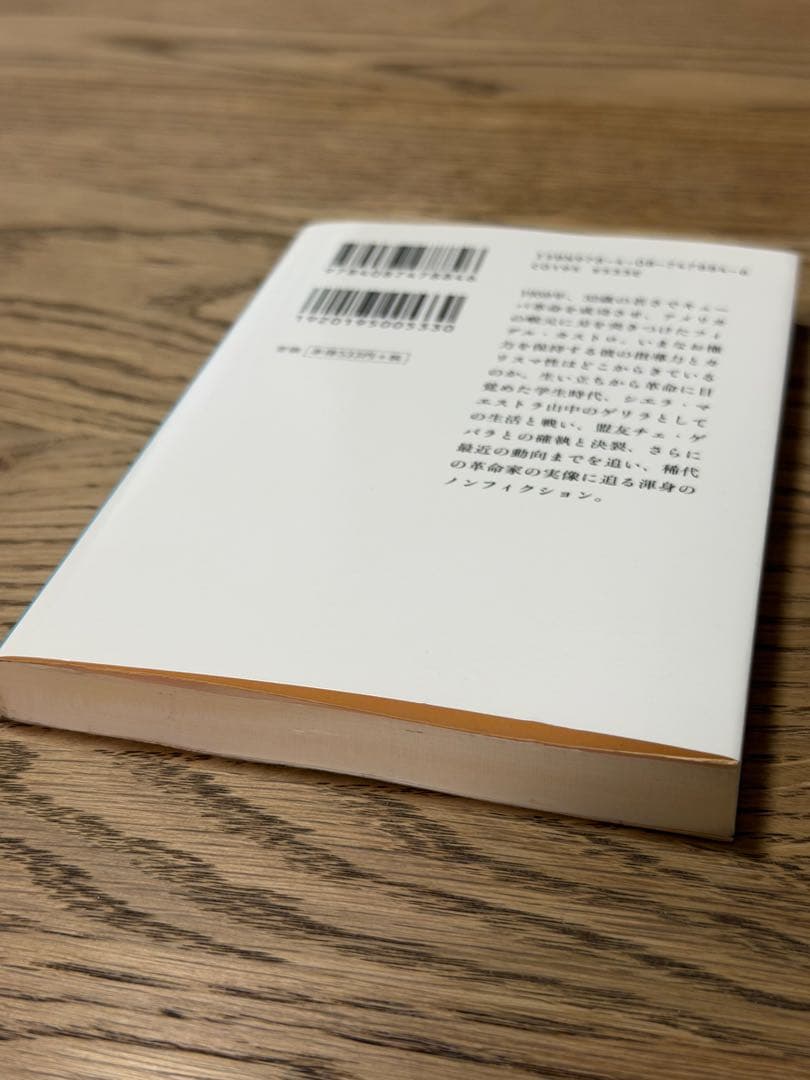 冒険者カストロ — image 3