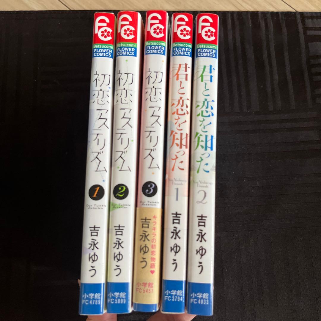 吉永ゆう作品　君と恋を知った、初恋アステリズム — image 2