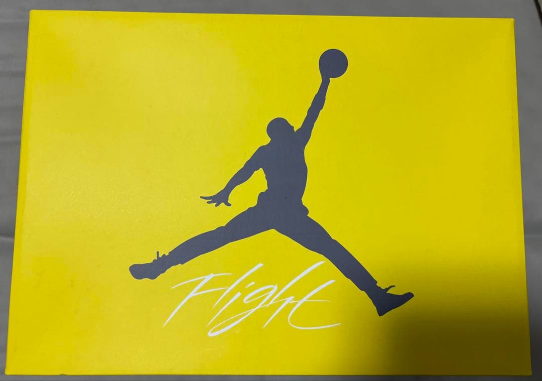AIR JORDAN 4 RETRO TOUR YELLOW 27cm — image 3