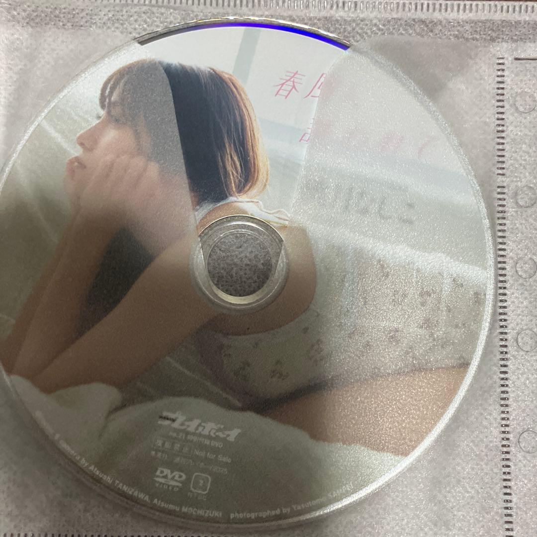 桃月なしこ 開封済み DVD2枚セット プレイボーイ特別付録DVD — image 2