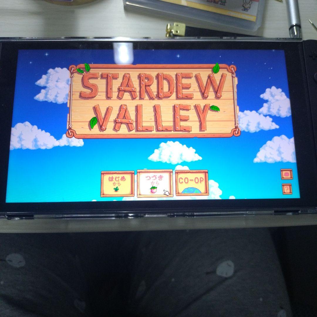 Stardew Valley Nintendo Switch ソフト — image 4