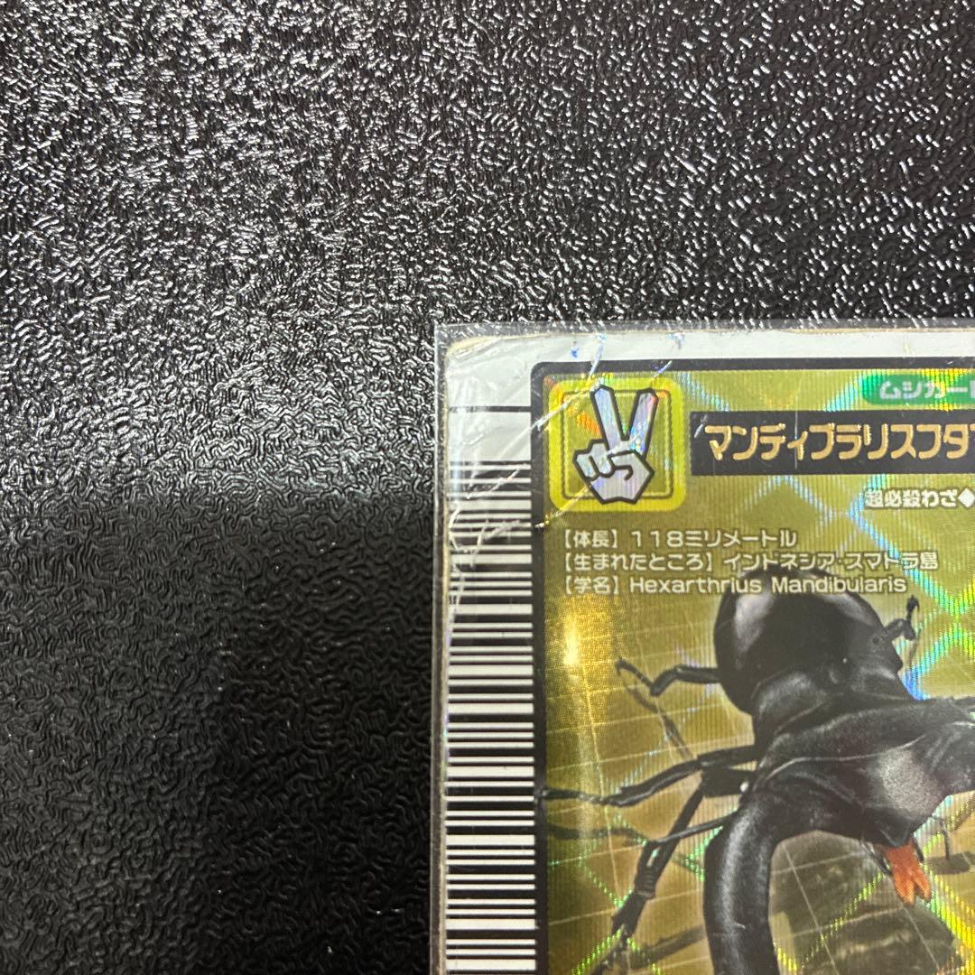 ムシキングマンディブラリスフタマタクワガタ — image 3