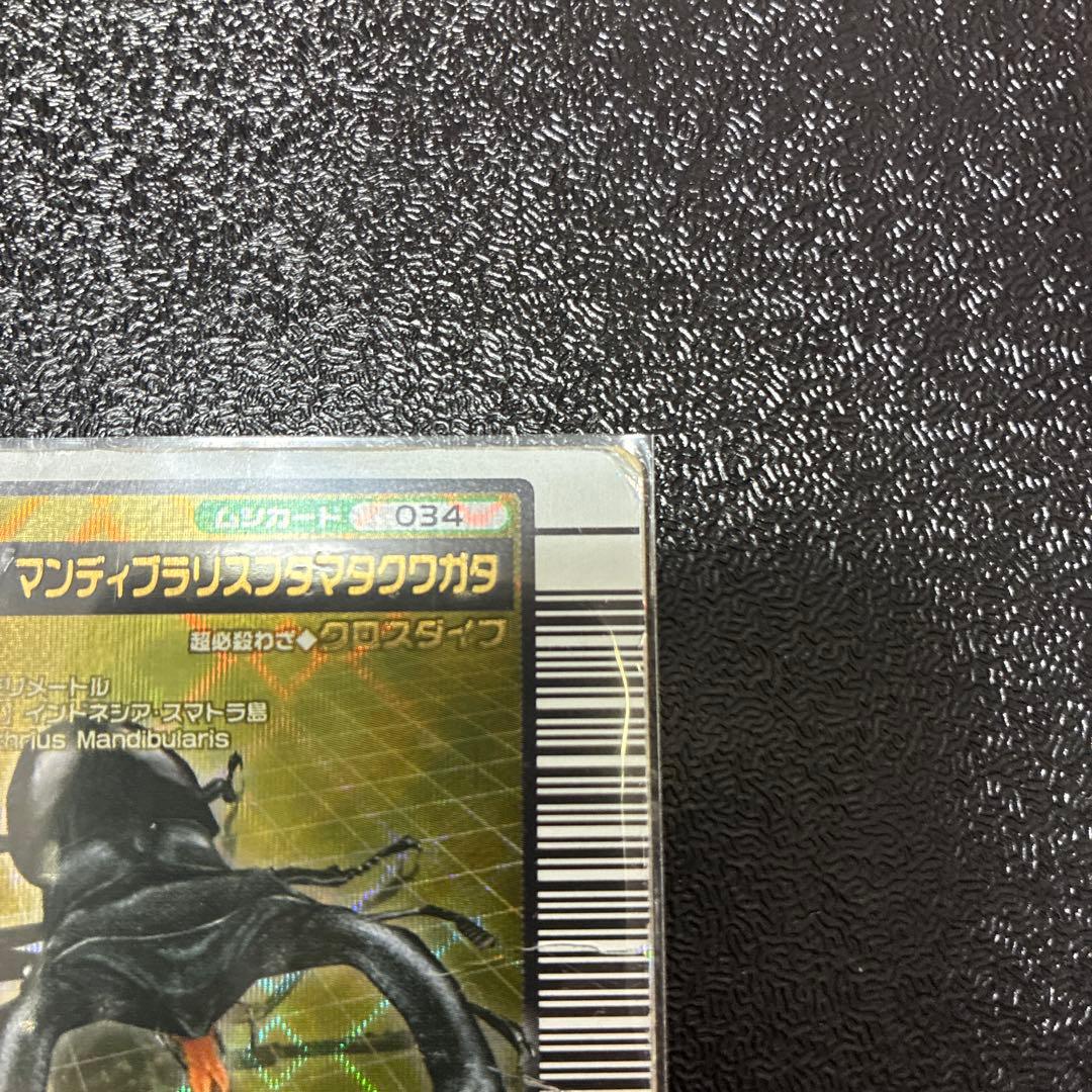 ムシキングマンディブラリスフタマタクワガタ — image 4
