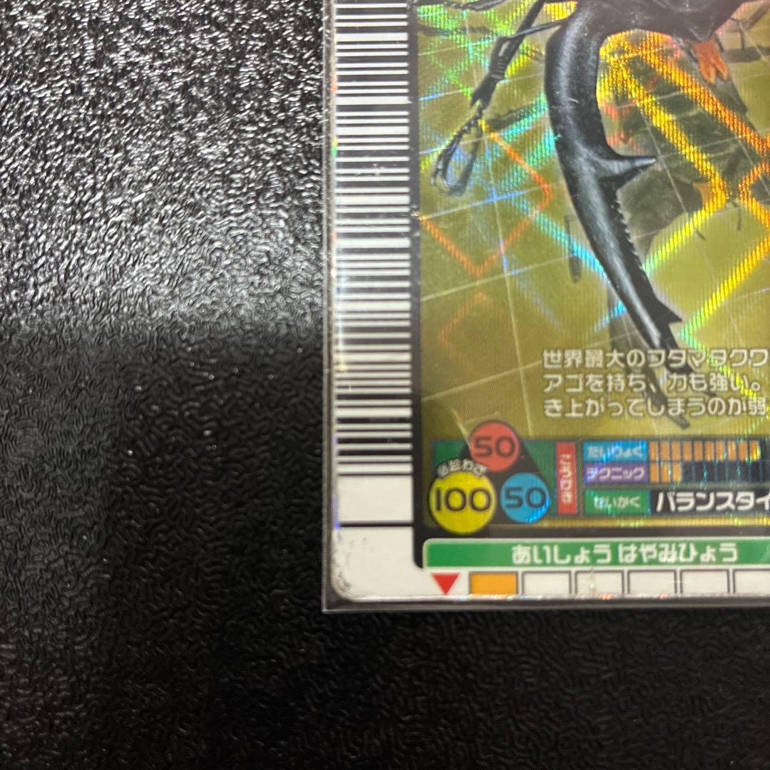 ムシキングマンディブラリスフタマタクワガタ — image 5