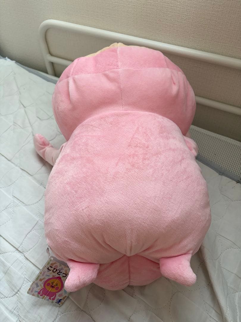 こびとづかん カクレモモジリ ぬいぐるみBIG — image 4