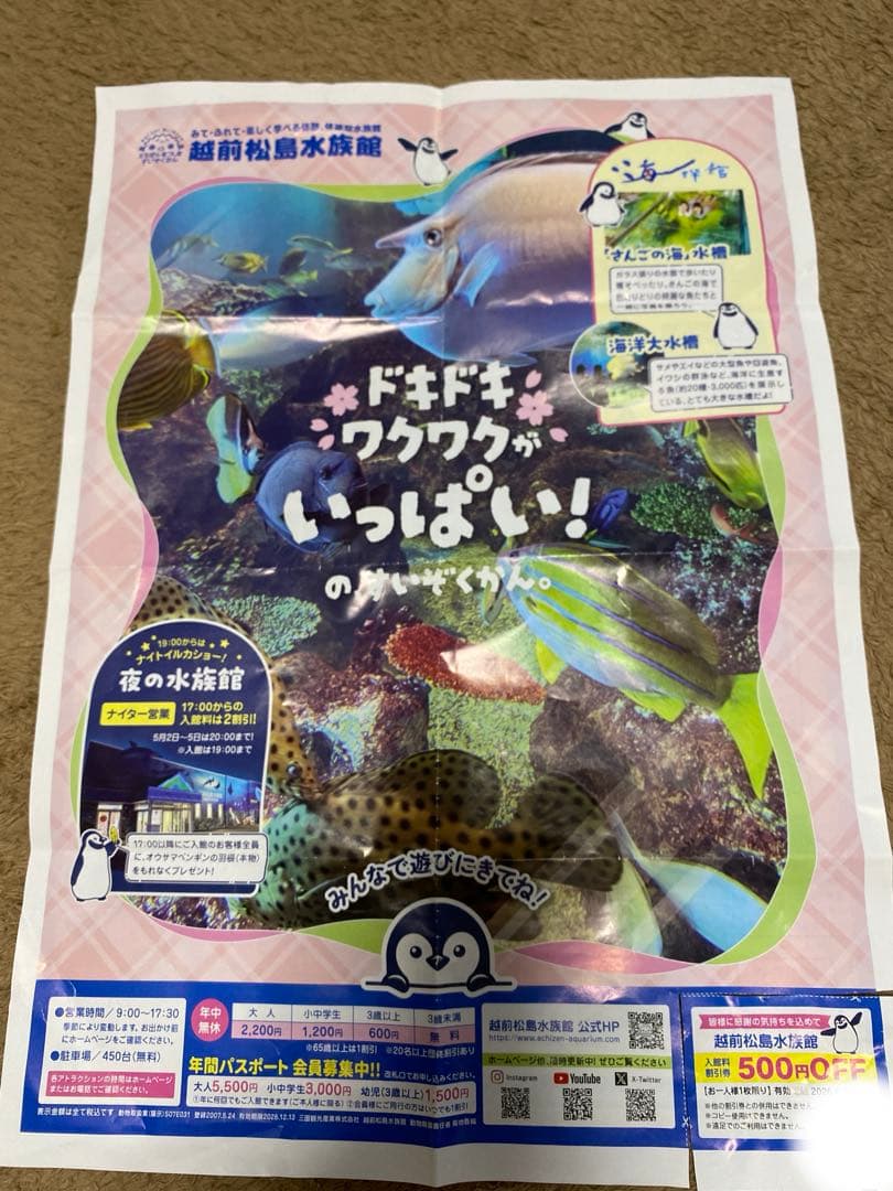 越前松島水族館　500円OFFクーポン×2枚 — image 2