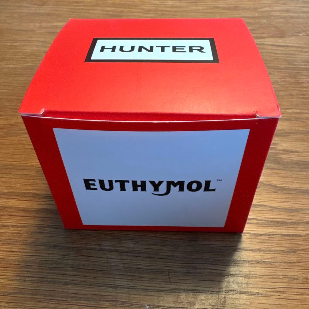 EUTHYMOL×HUNTER 歯ブラシブーツスタンド　ブラック — image 2