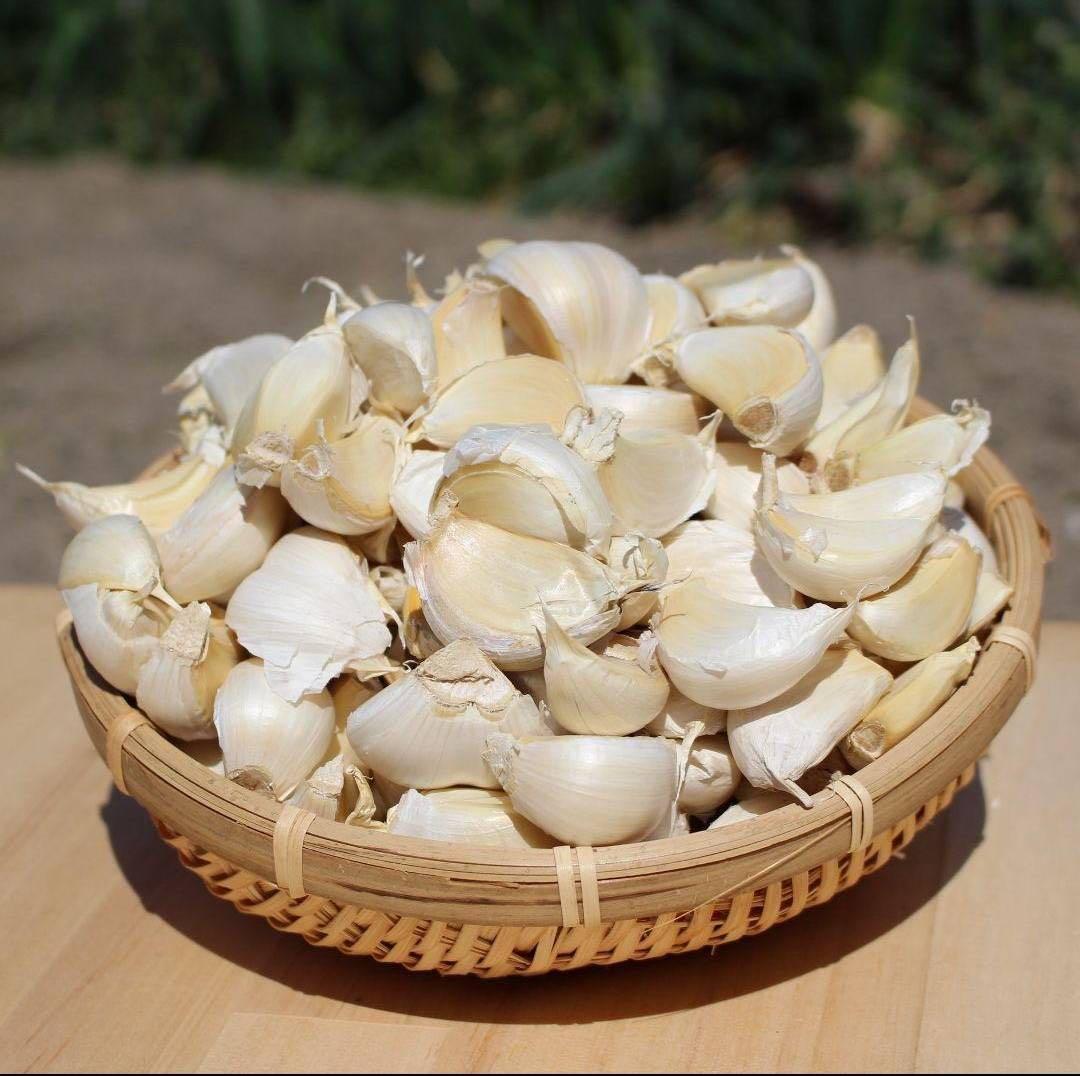 送料無料!! 2026年産 無農薬 バラニンニク 1kg ニンニク 1キロ — image 2