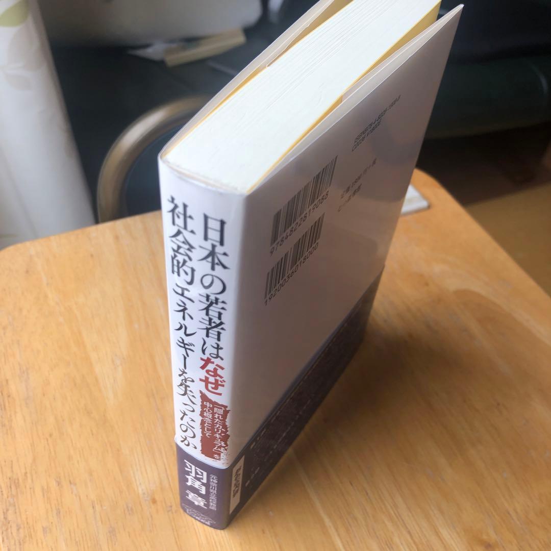 日本の若者はなぜ社会的エネルギーを失ったのか — image 3