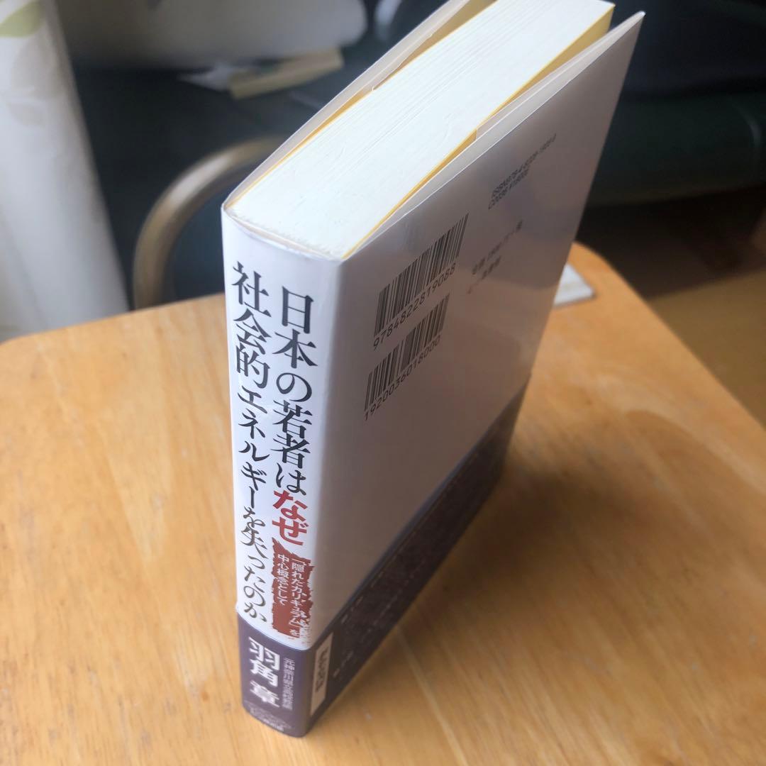 日本の若者はなぜ社会的エネルギーを失ったのか — image 4