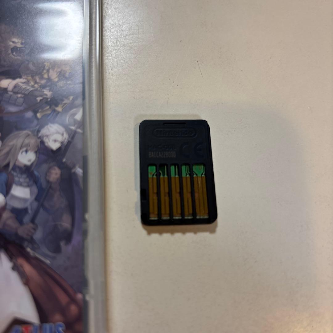 Nintendo Switch UNICORN OVERLORD — image 3