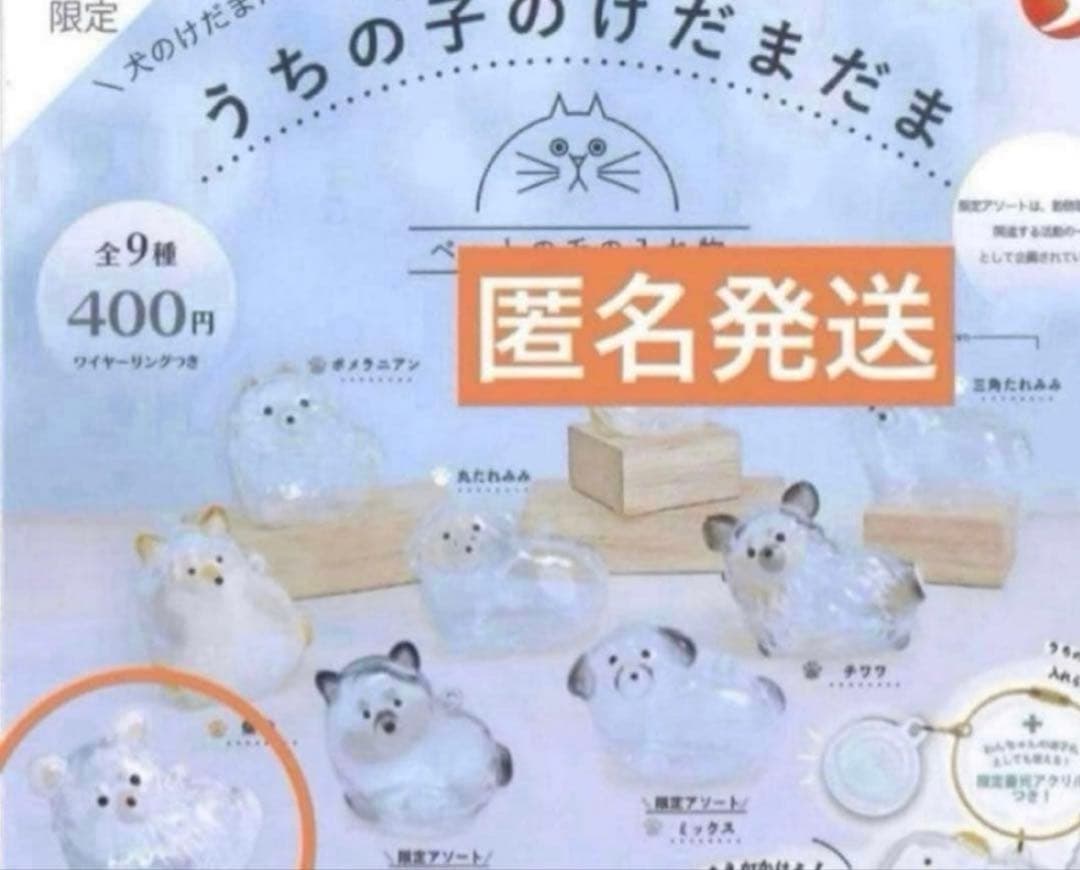 うちの子のけだまだま　犬　チワワ（白）　シープラ 限定 — image 2