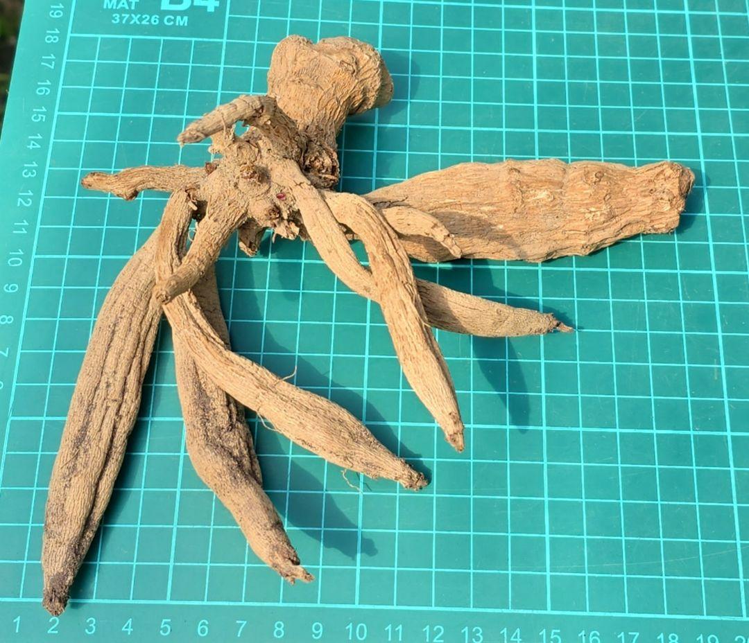 つばき様　連絡用 — image 2